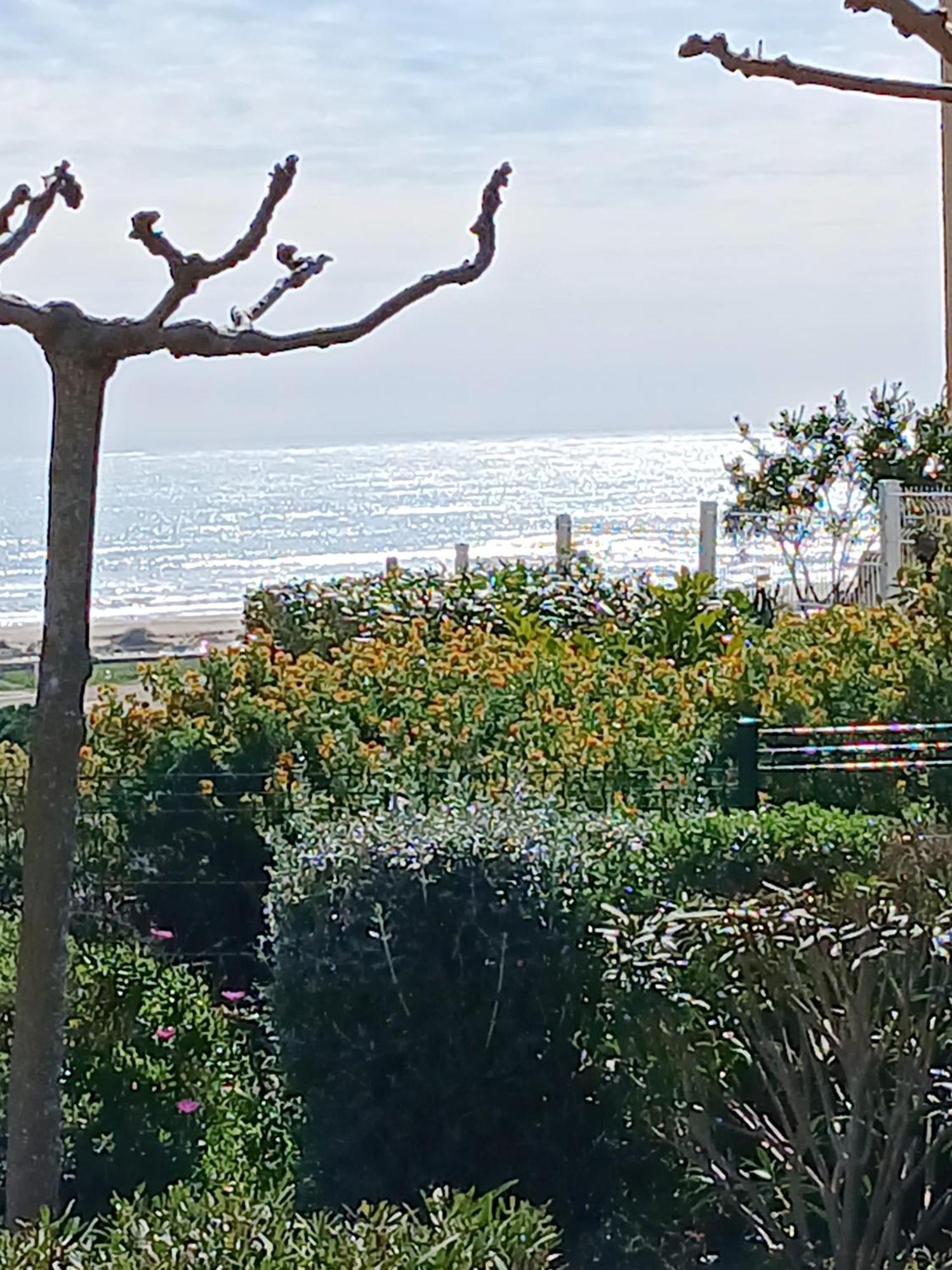Plain-Pied Jardin 6 Personnes Clim Vue Mer Parking Wifi Terrasse Piscine Dans La Residence Saint-Pierre-la-Mer  ภายนอก รูปภาพ